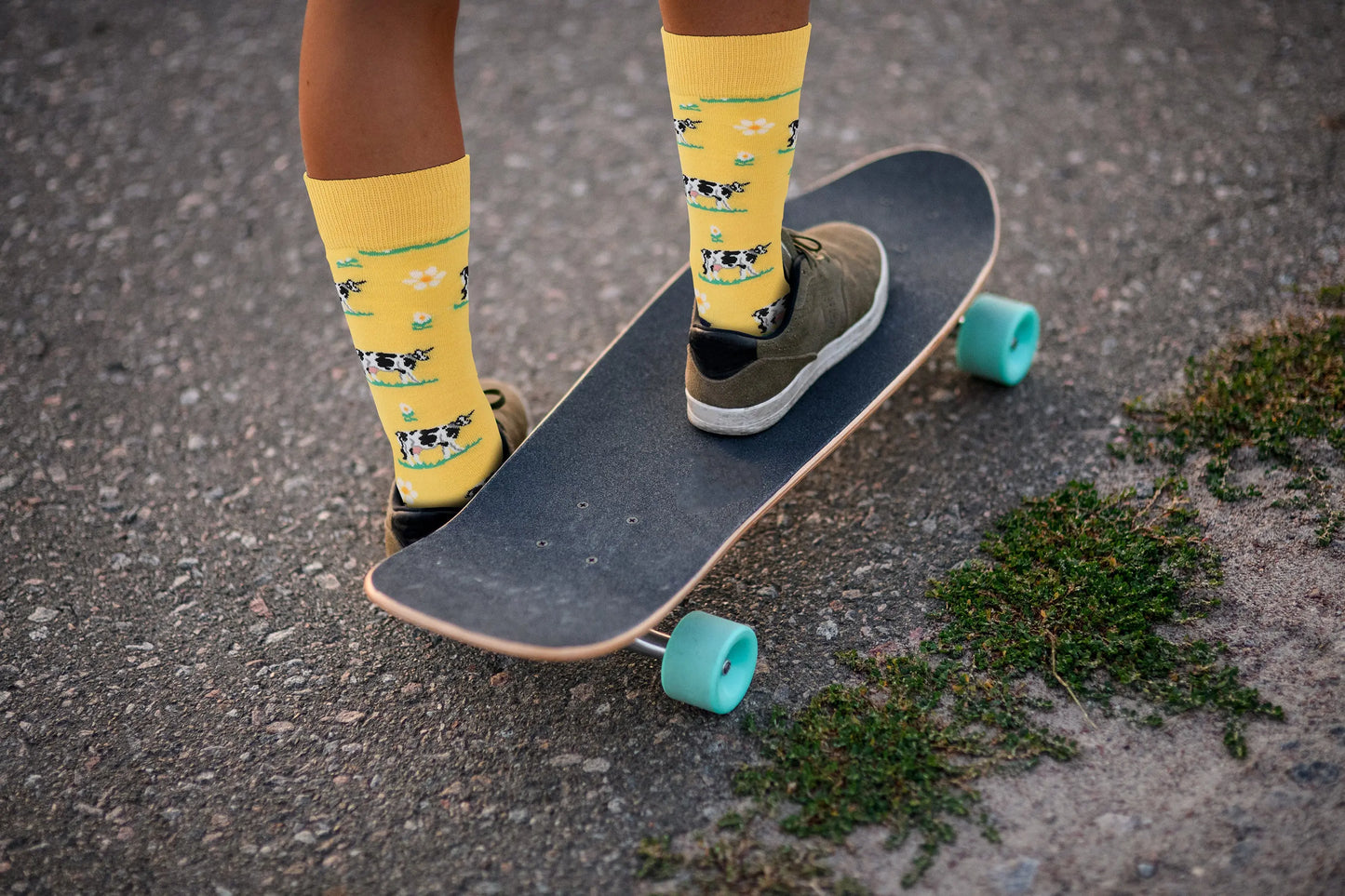 Cute Cotton Funny Animal Socks - Cow - For Men and Women – Premium Dress Socks for Office & Formal Wear Fuchsia Thrace